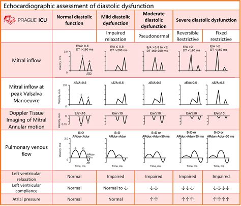 stage 2 lv diastolic dysfunction